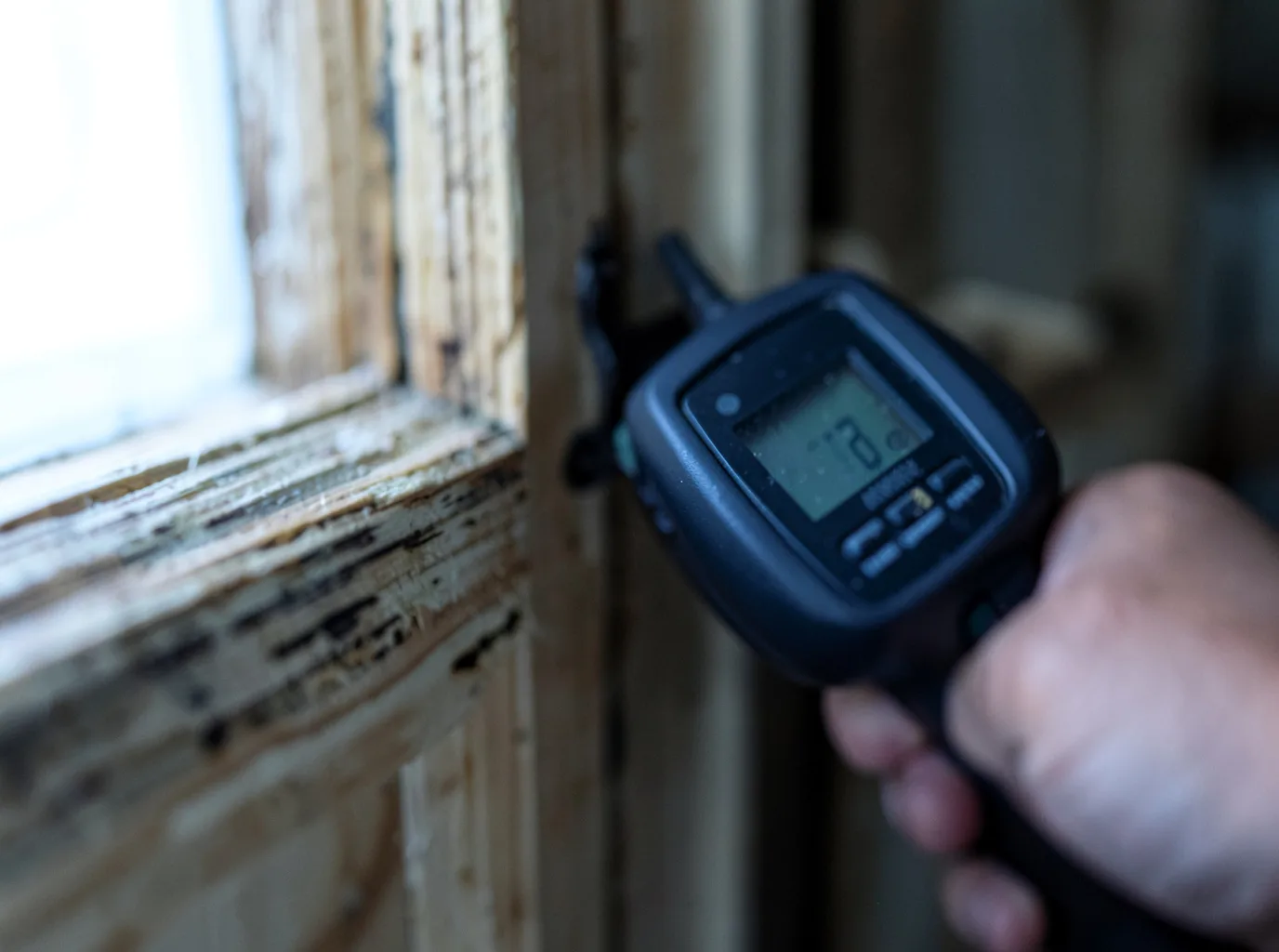 Moisture Inspection And Documentation in Guadalupita, NM